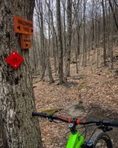 a tree with trail sign markers on the left, with a green mountain bike leaning against it with a trail in front of it. The trail signs say "Halloween Tree" and "to Mansion". A red BATS logo trail marker diamond is below the signs